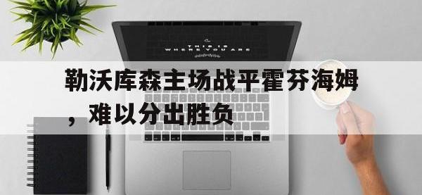 包含勒沃库森主场战平霍芬海姆，难以分出胜负的词条